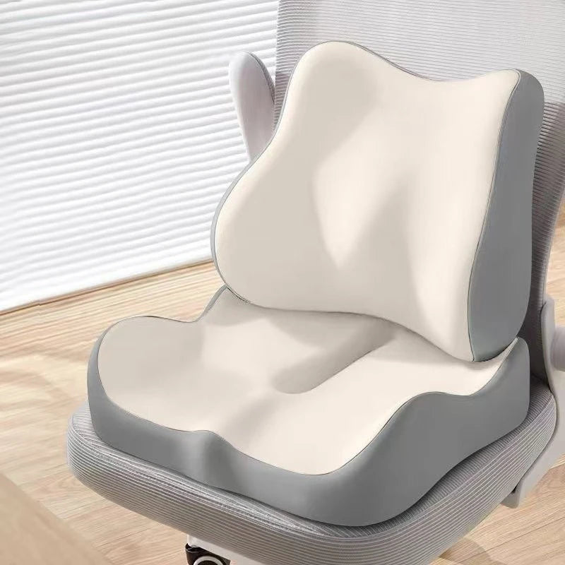 Seat Cushion with Lumbar Support
